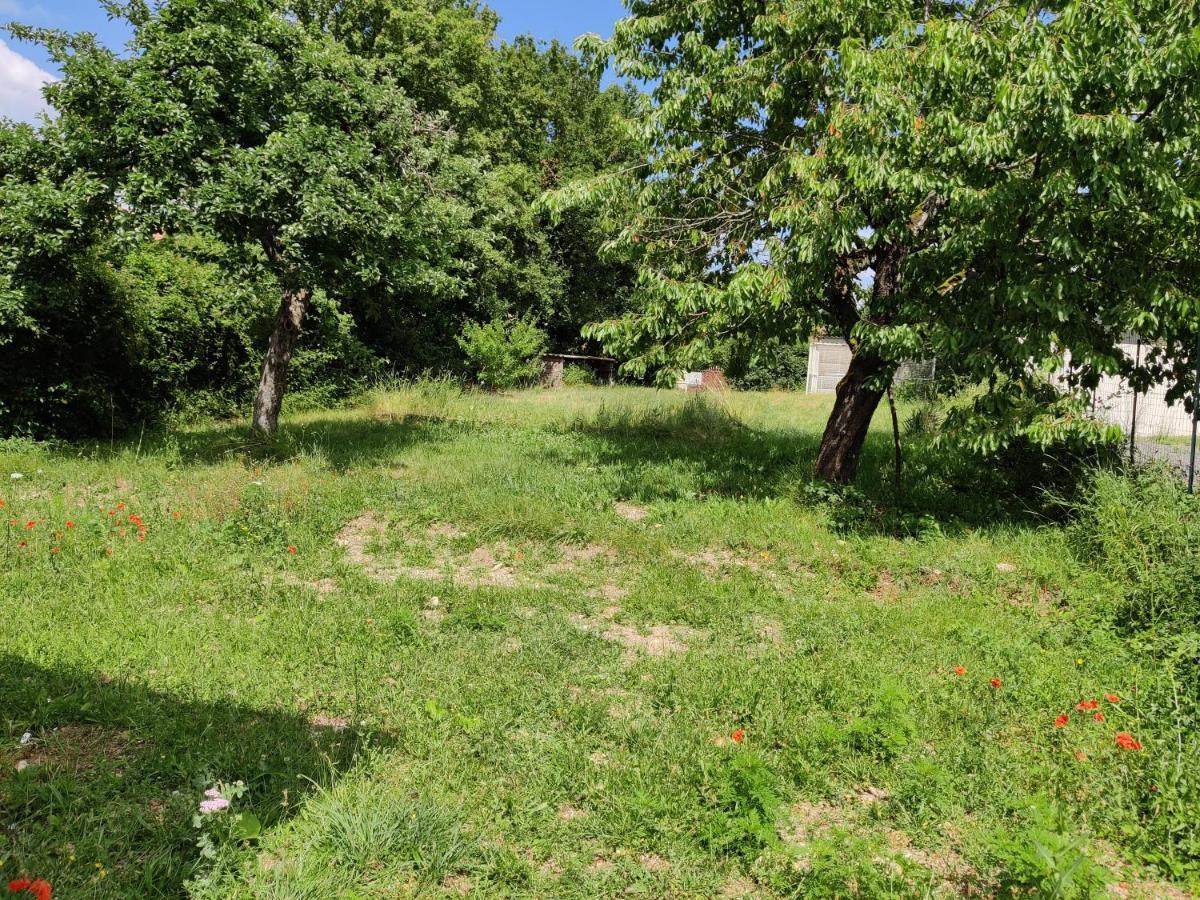 Studio Spacieux Tout Equipe Avec Jardin Varennes-Vauzelles Exteriör bild